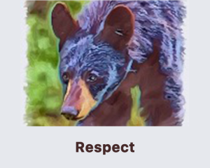 Values Respect 