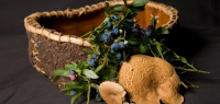 Wild Berry festival